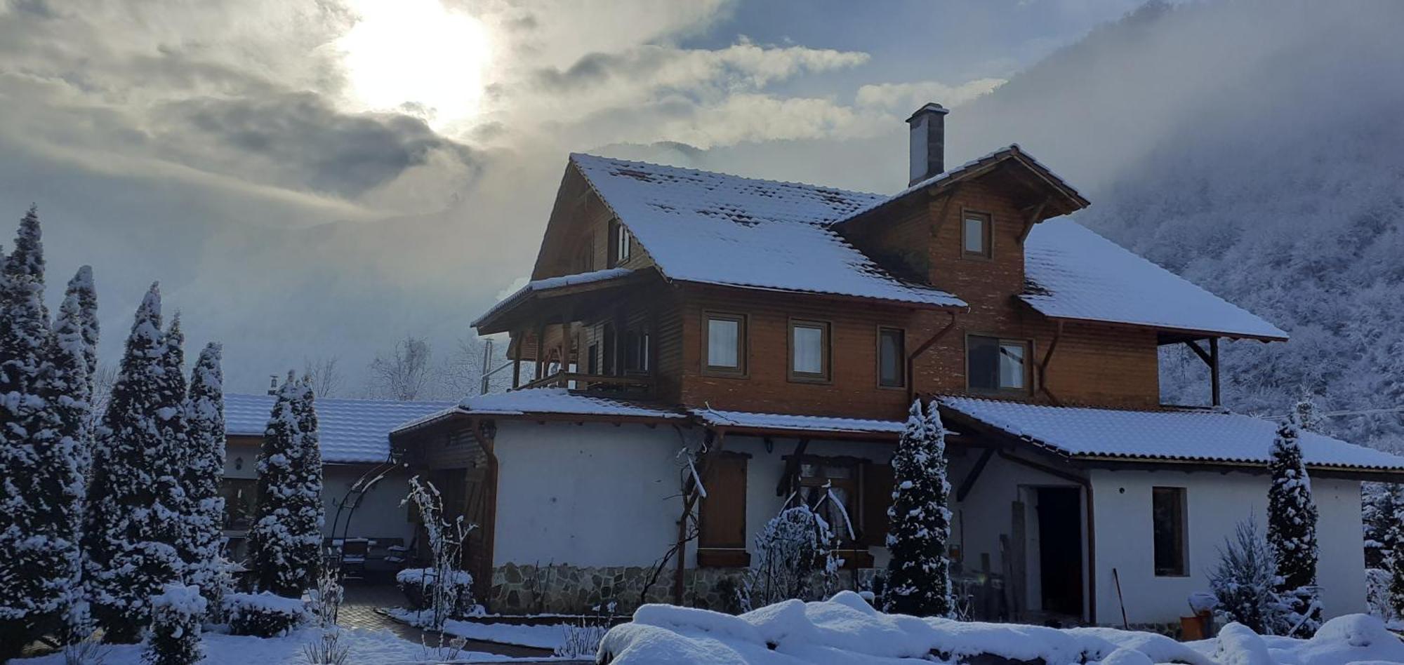 Gasthaus Maria Borlova Eksteriør bilde
