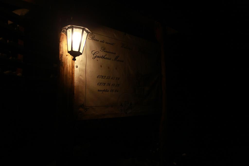 Gasthaus Maria Borlova Eksteriør bilde